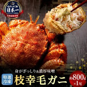 幸福的美味！特選冷凍「江差大閘蟹」約800g x 1隻 螃蟹，大閘蟹，鄂霍次克，北海道加工食品，當地感謝禮品，產品目錄，大閘蟹