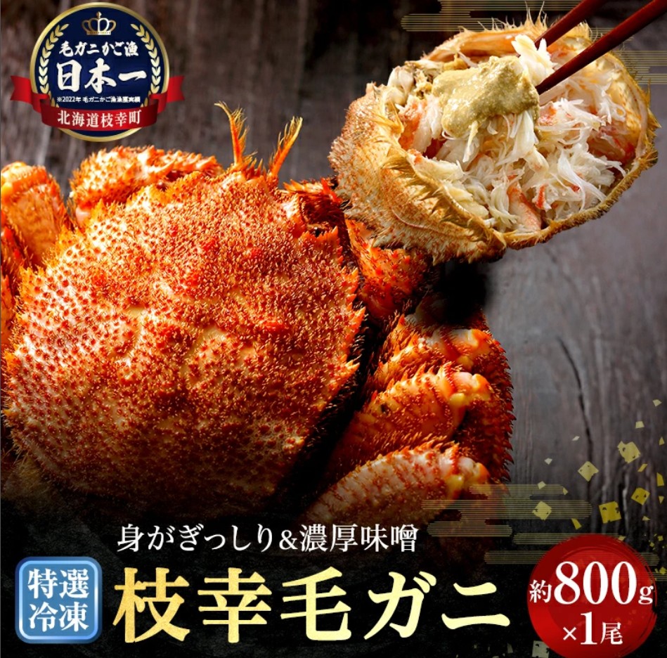 幸福的美味!特選冷凍「江差大閘蟹」約800g x 1隻 螃蟹,大閘蟹,鄂霍次克,北海道加工食品,當地感謝禮品,產品目錄,大閘蟹