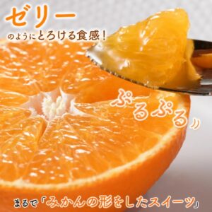 Beni Madonna 禮盒