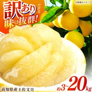 高知縣土佐文旦 約5kg
