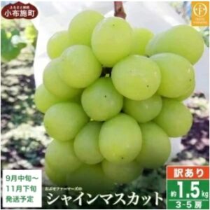 陽光麝香葡萄 約1.5kg 3-5串