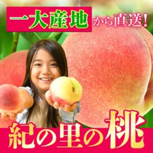 木之裡桃子 約1kg（3-5個）