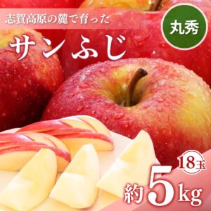 長野縣志賀高原山麓栽培的三富士蘋果18個（約5公斤）