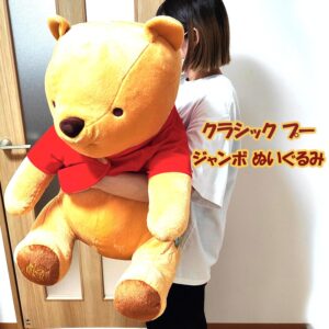 迪士尼經典大小熊維尼絨毛玩具